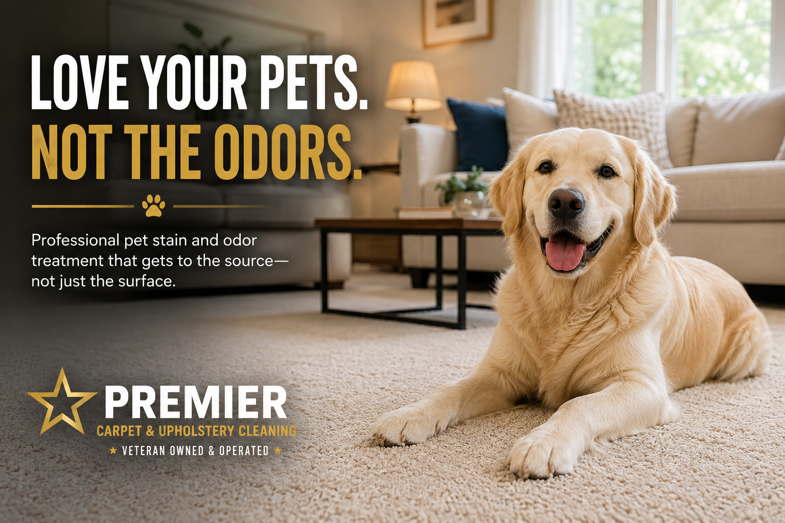 Professional pet stain and odor carpet cleaning for a pet-friendly home